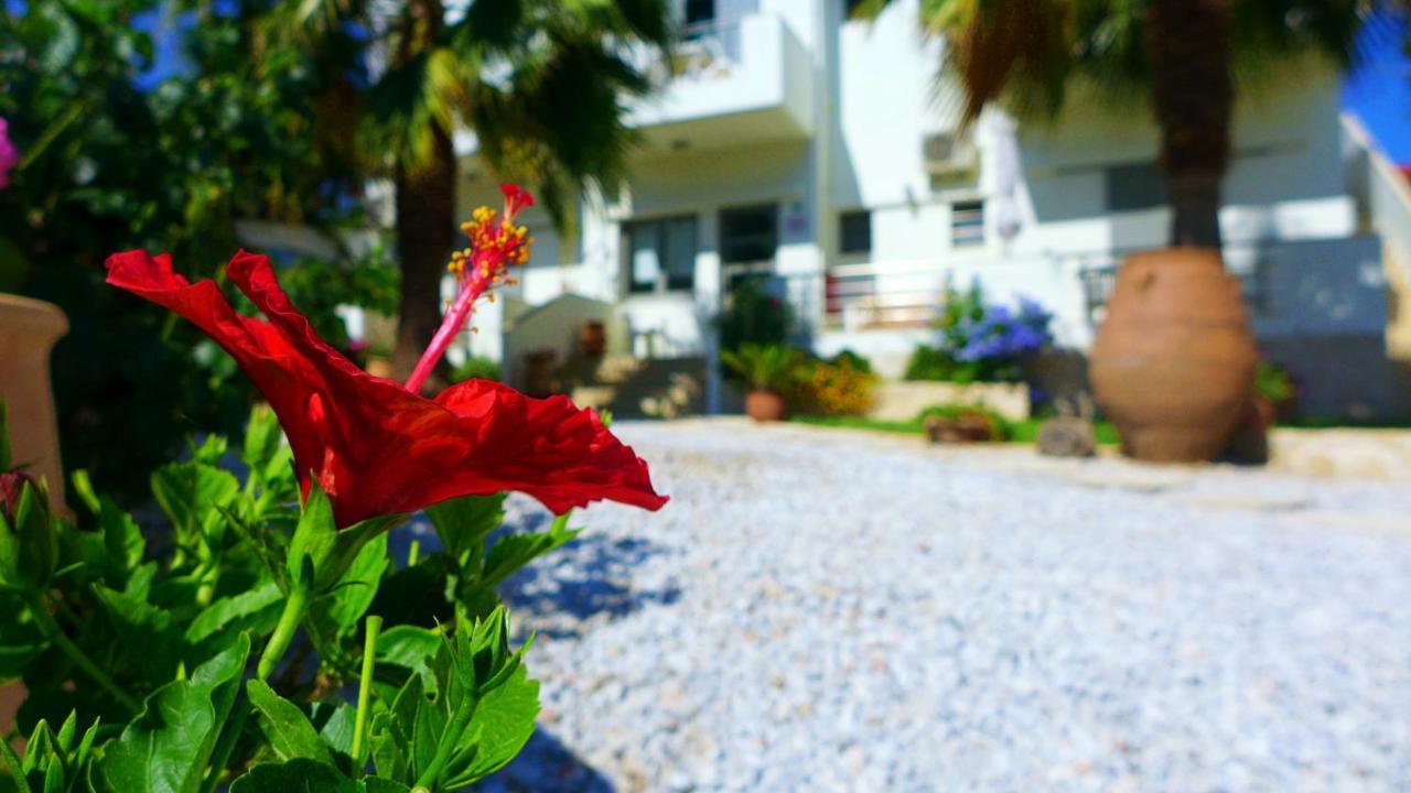 Lion-Suites Kalyves Exterior photo